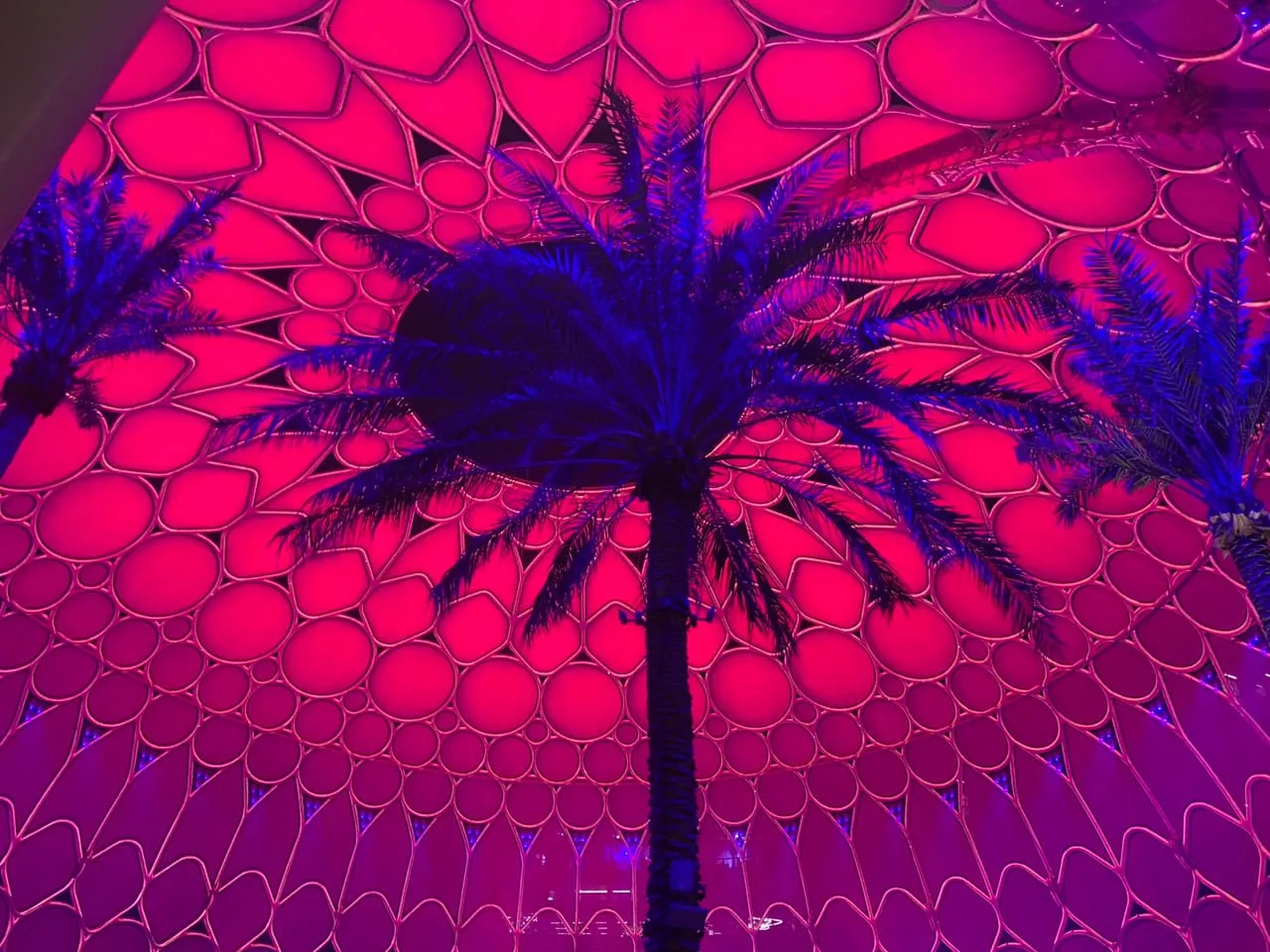 The Al Wasl Plaza dome at Expo City Dubai lit pink at night