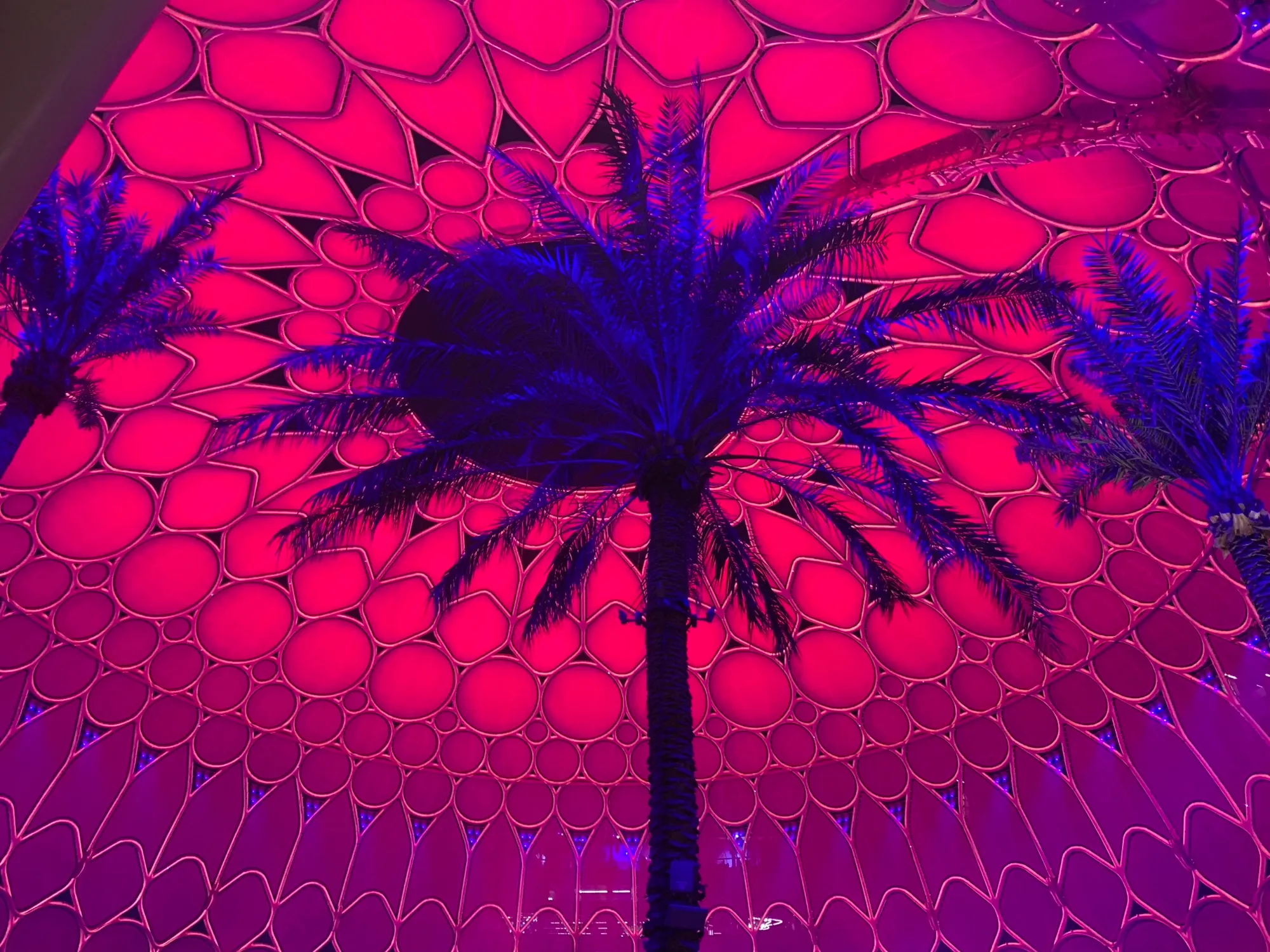 The Al Wasl Plaza dome at Expo City Dubai lit pink at night