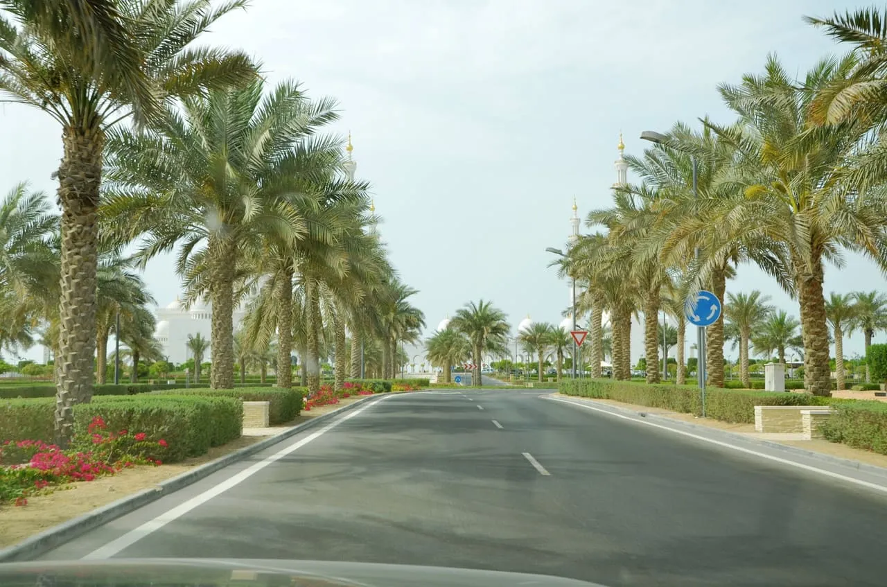The palm-lined road at the entrance to the Sheikh Zayed Grand Mosque parking area