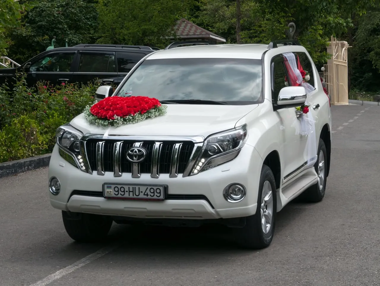 A white SUV decorated for a wedding, with red roses on the bonnet, ribbons on the doors and a clear front number plate