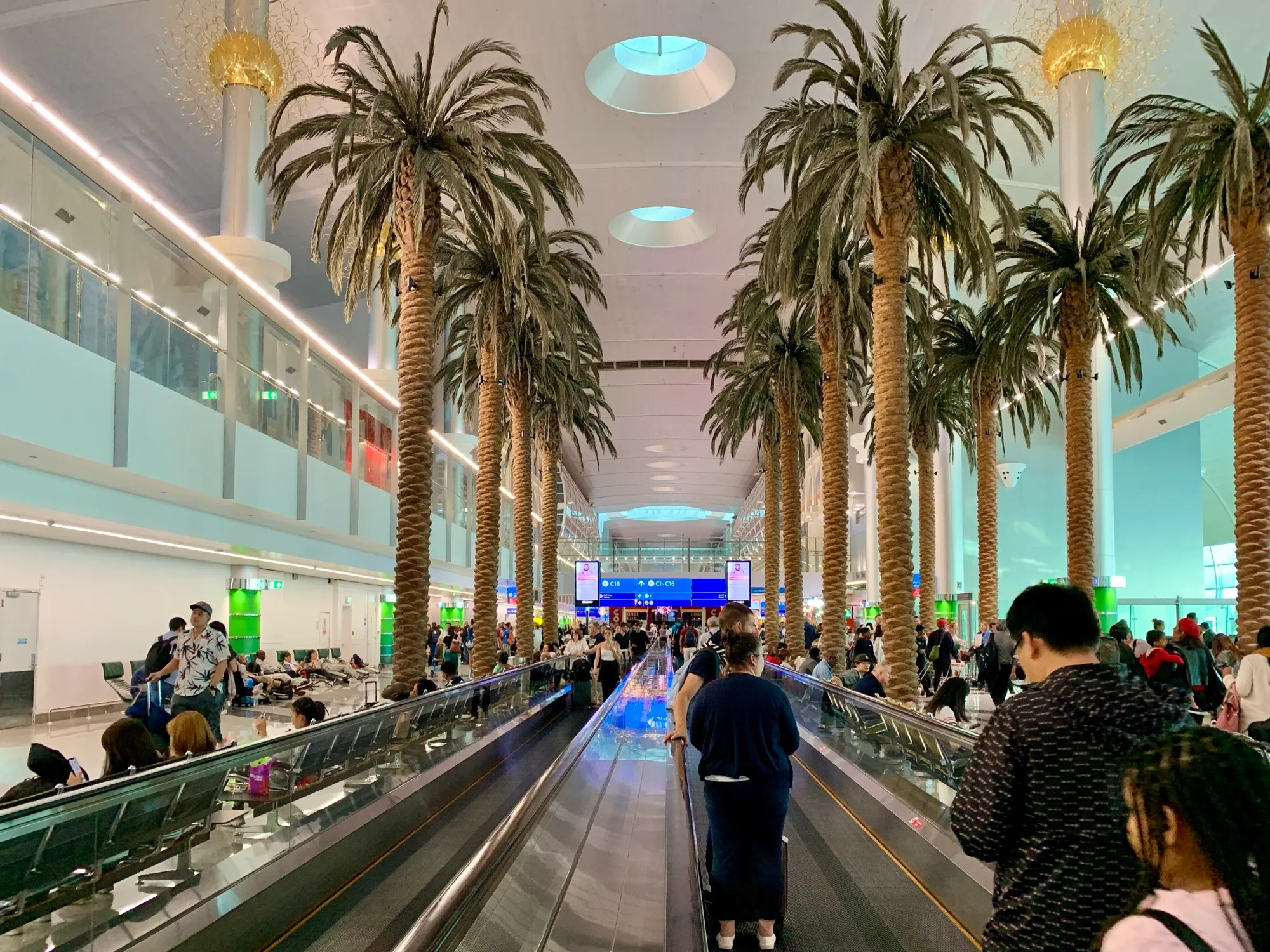 A moving walkway running between date palms in the Terminal 3 concourse at Dubai International Airport