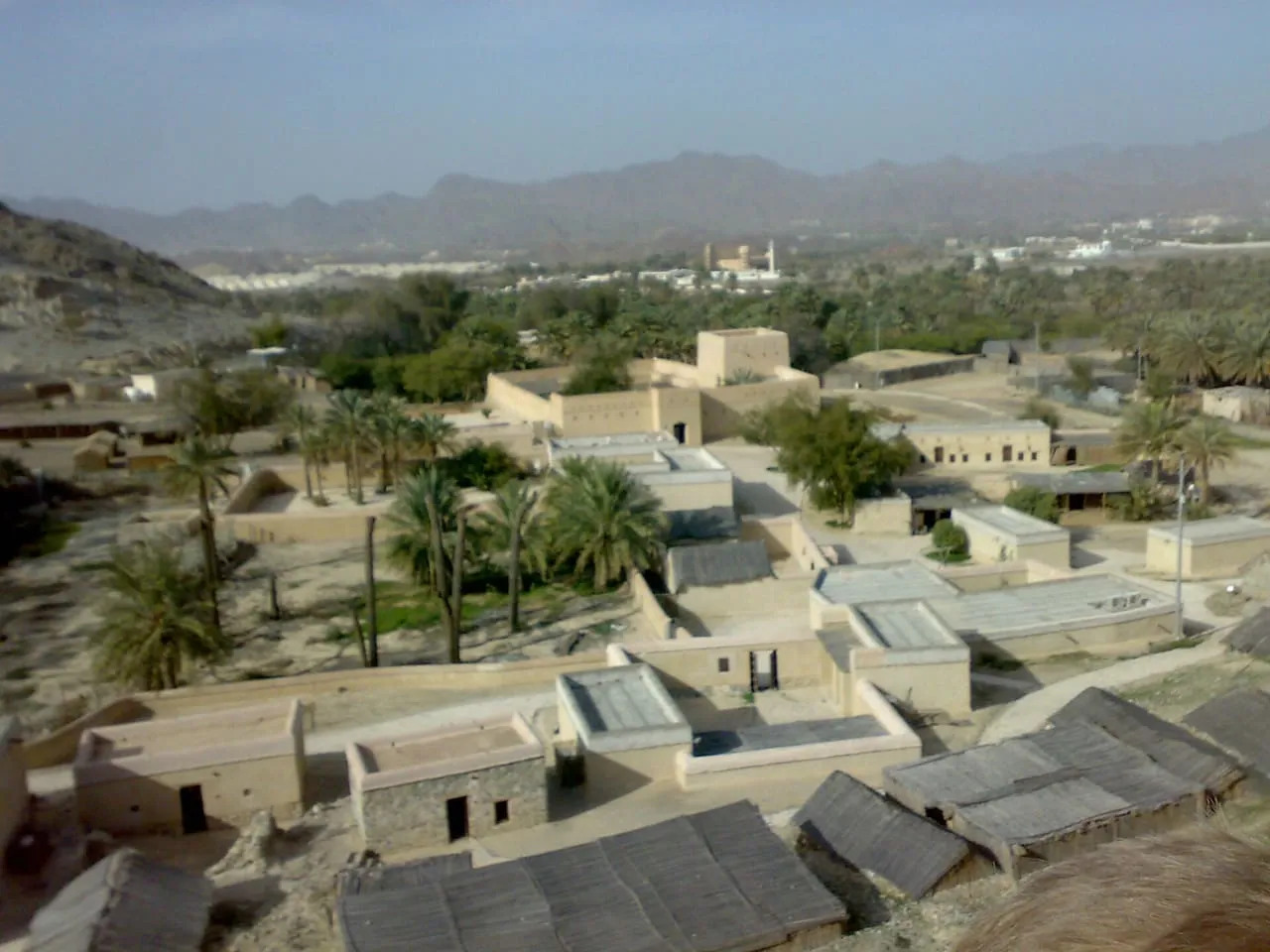 Rebuilt mud-brick houses with palm-frond roofs among date palms at the Hatta heritage site