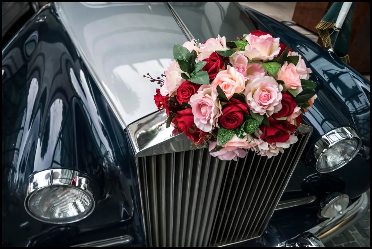 Pink and red roses fixed to the bonnet of a black Rolls-Royce, just above the grille