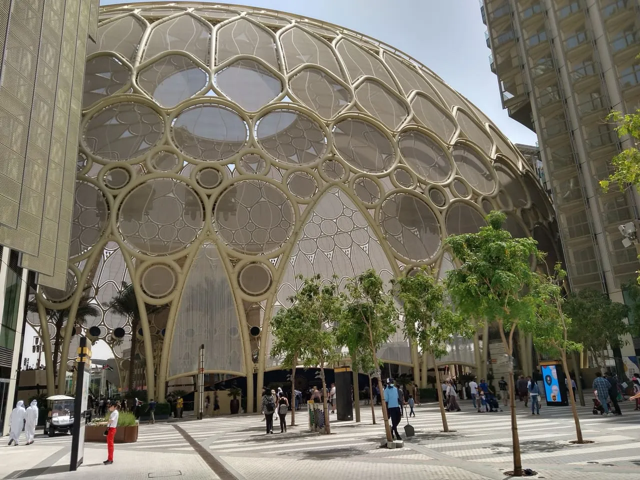 The lattice dome of Al Wasl Plaza at Expo City Dubai, seen from a tree-lined walkway