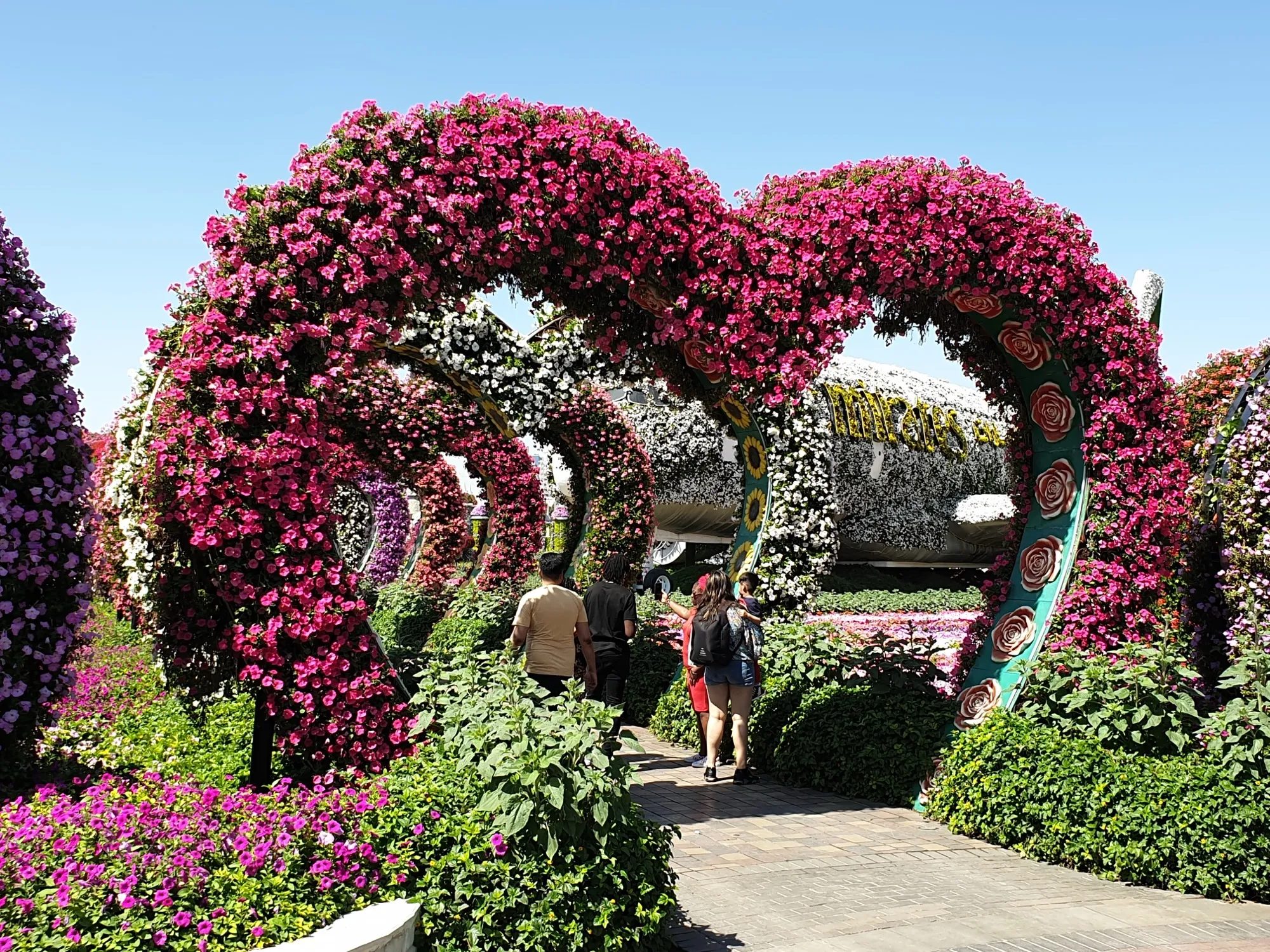 Heart-shaped arches covered in pink and white petunias at Dubai Miracle Garden