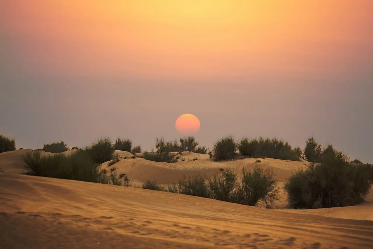 The sun setting over low dunes and desert shrubs in the Dubai Desert Conservation Reserve