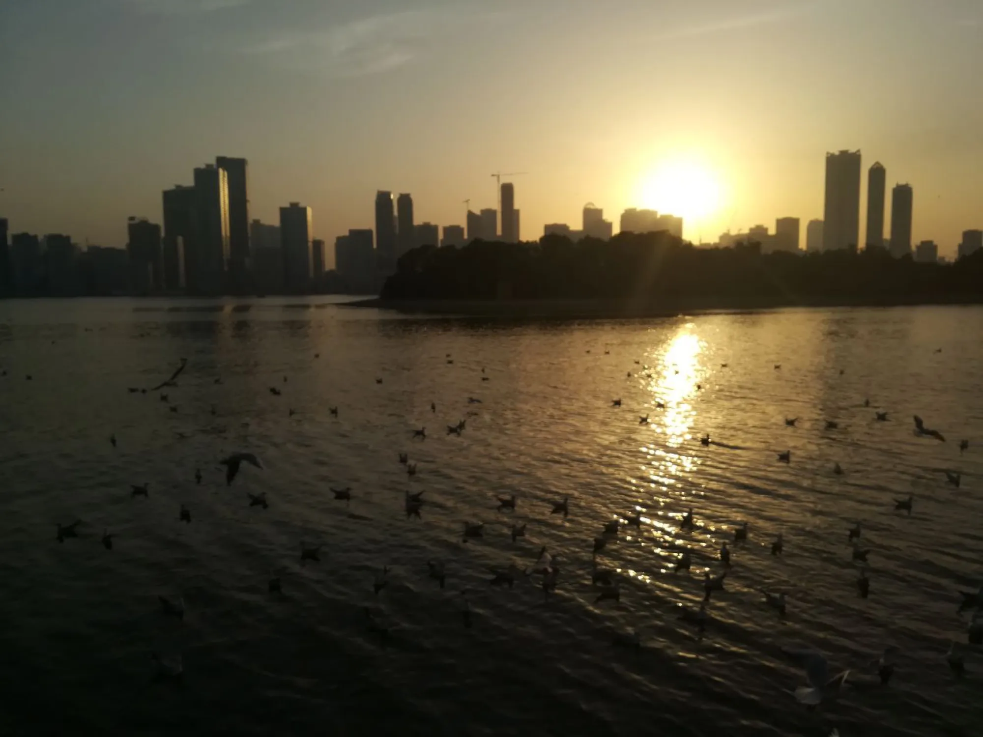 Sunset over the Sharjah skyline with gulls on the water at Al Majaz Waterfront