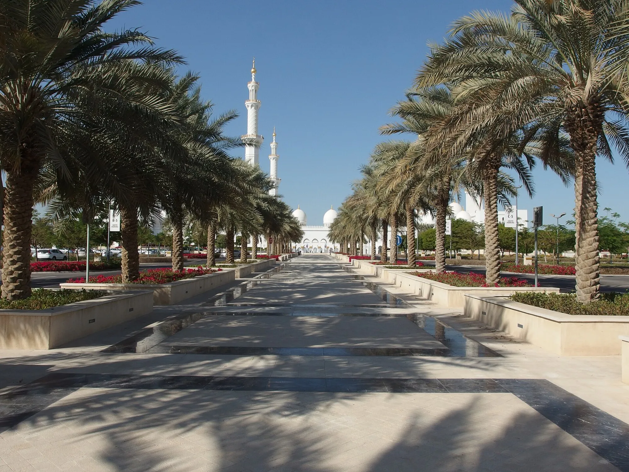 A tree-lined walkway leading to the Sheikh Zayed Grand Mosque in Abu Dhabi