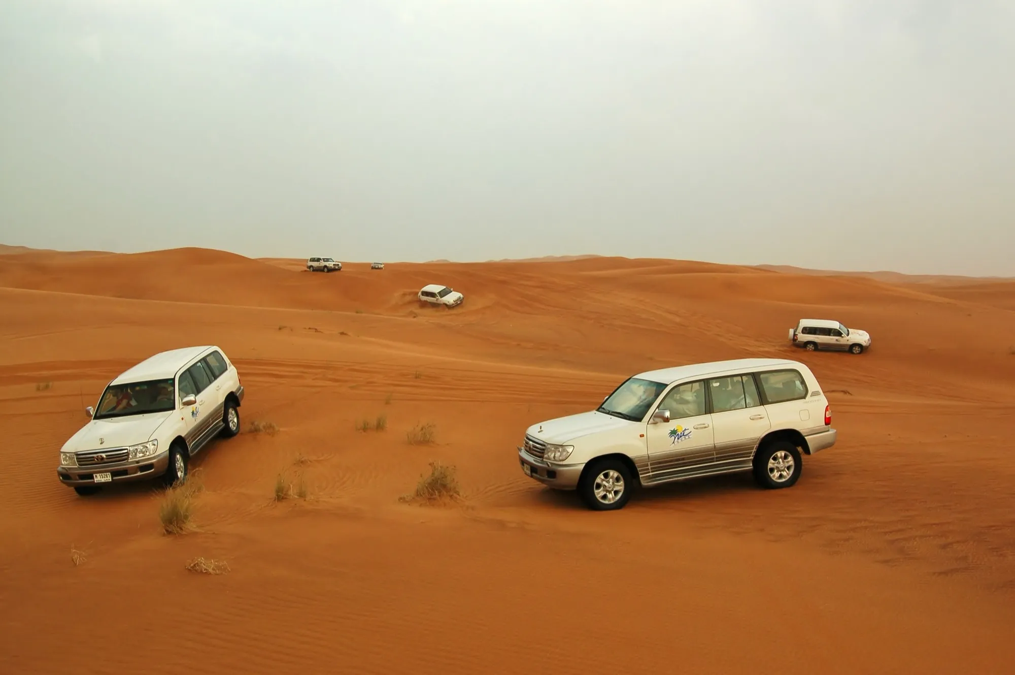 White Toyota Land Cruisers on a dune drive across red sand in the Dubai desert