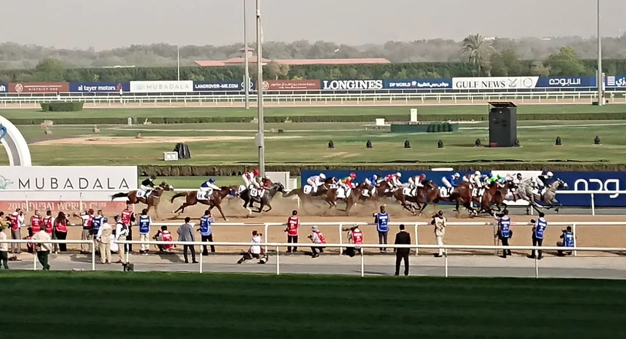 Runners on the dirt track at Meydan Racecourse on Dubai World Cup day in 2018, seen from the Grandstand