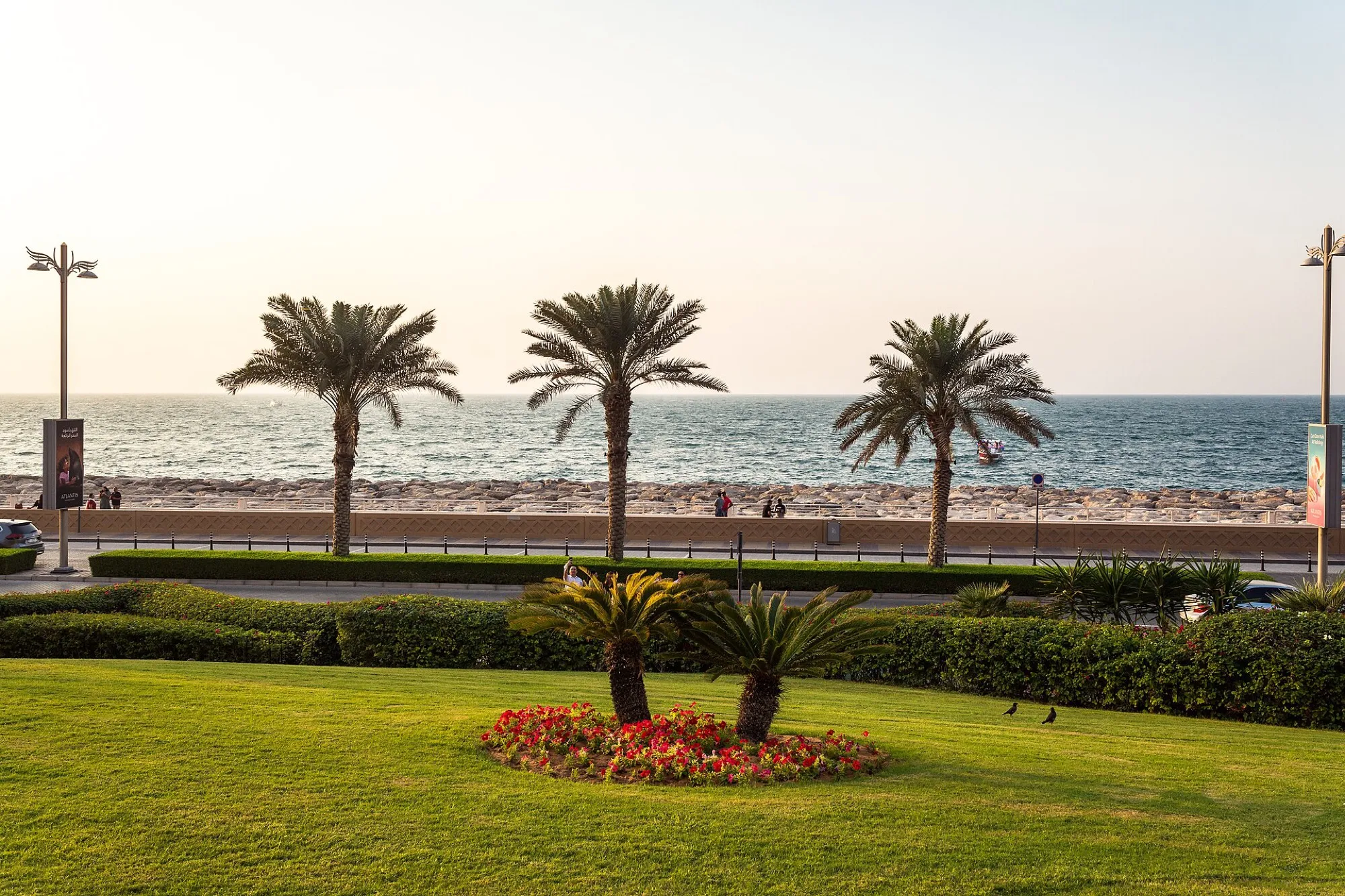 Palm trees and a seafront promenade along the Dubai coast in the evening light