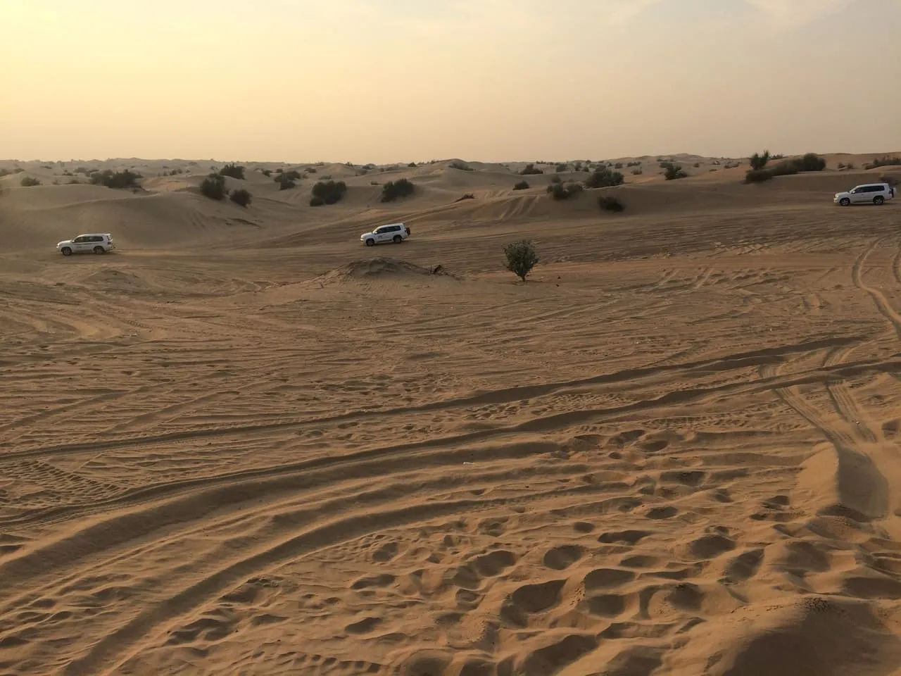 White 4x4s crossing the dunes of the desert safari area at Al Awir in inland Dubai