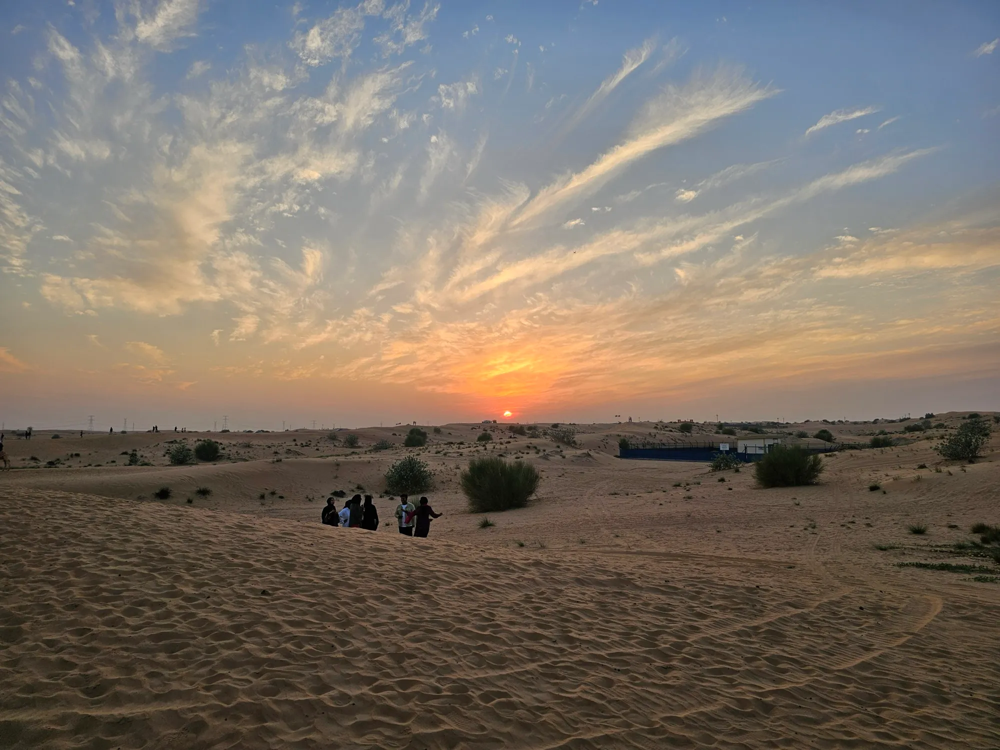 Sunset over the Dubai desert with scrub bushes and dunes in the evening light
